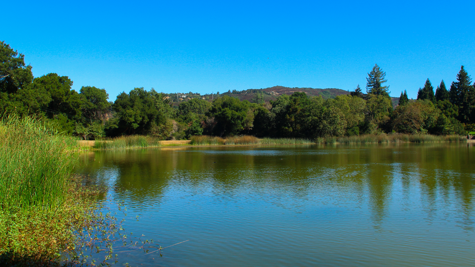 Lake Kittredge Wetland Restoration